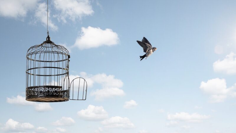 Ilustração simbolizando a liberdade e a Reforma Psiquiátrica, base do modelo de cuidado do CAPS Adulto.